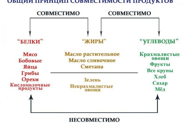 Основные принципы раздельного питания | pitanierazdelno.ru