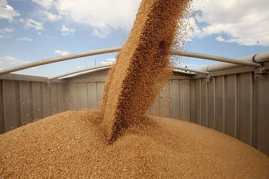 Перевозка зерна зерновозами: особенности и преимущества